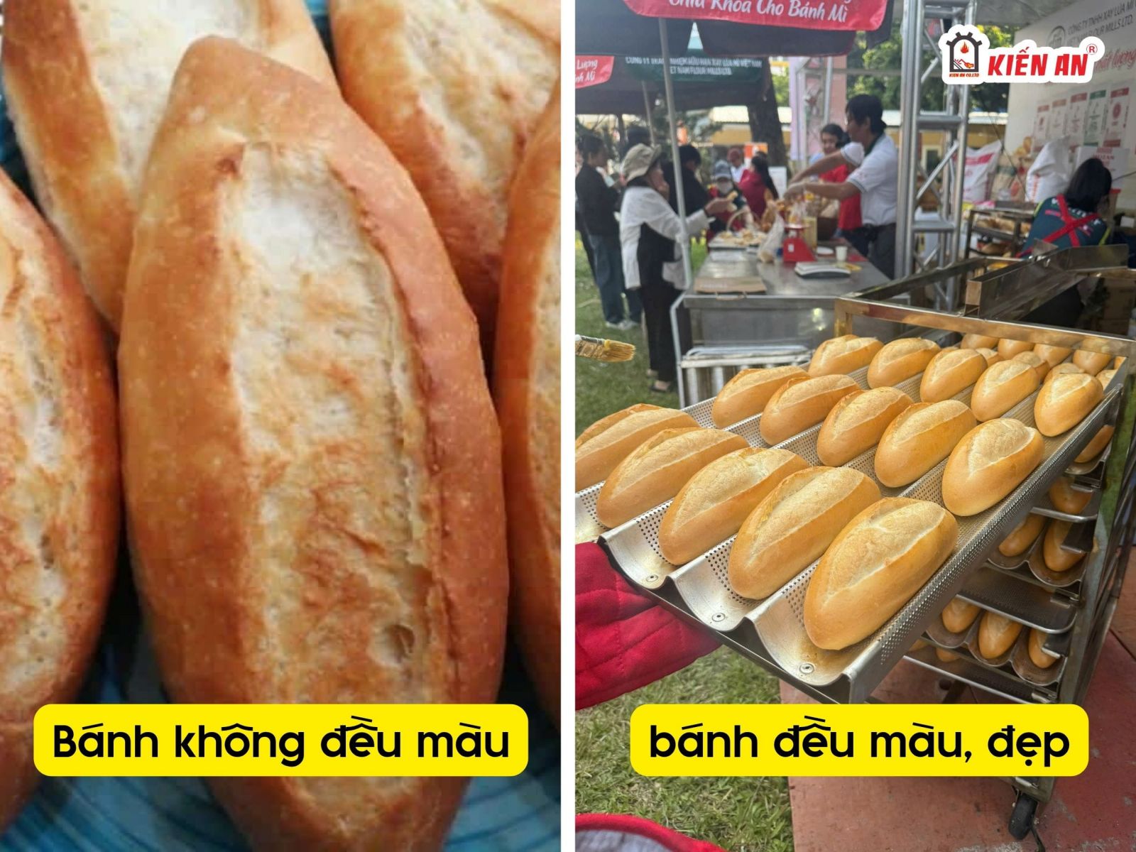 Chọn lò nướng bánh mì lâu dài ổn định - đừng ham giá rẻ nhất thời